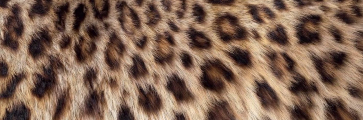 ines_adriano's profile banner image