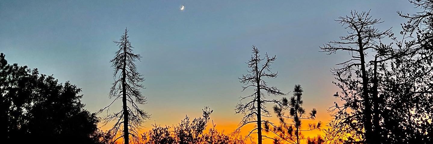 SavannahYUP's profile banner image