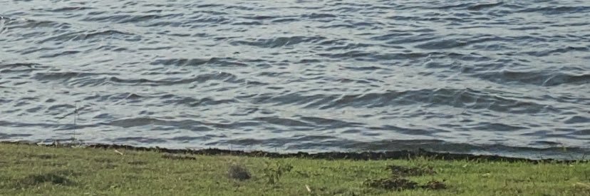 ; banner