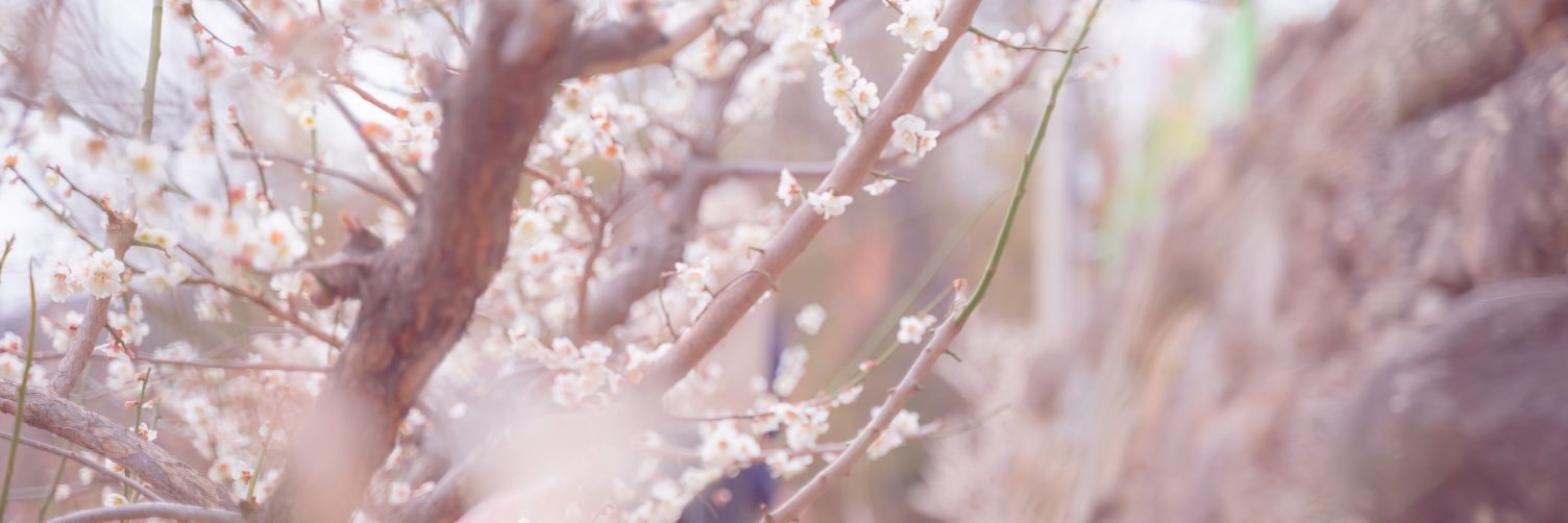 Est_nT's profile banner image