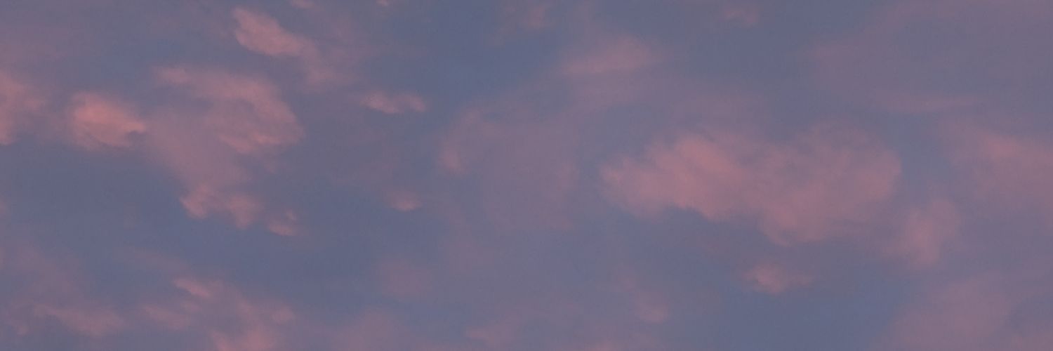 Ann-Kathrin🍋🍒🐈‍⬛'s banner