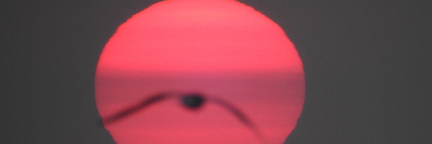 Armando Quintero Mateos banner