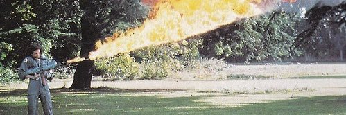 whiteredbarbara's profile banner image