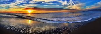 P banner