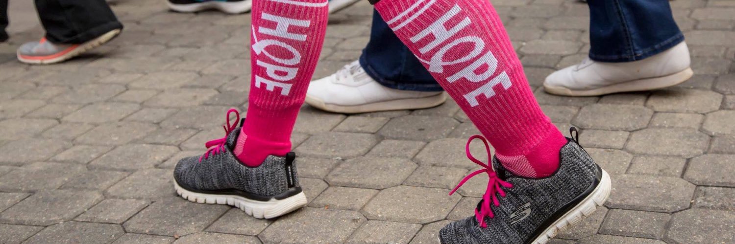 Hudson Valley Making Strides Walk banner