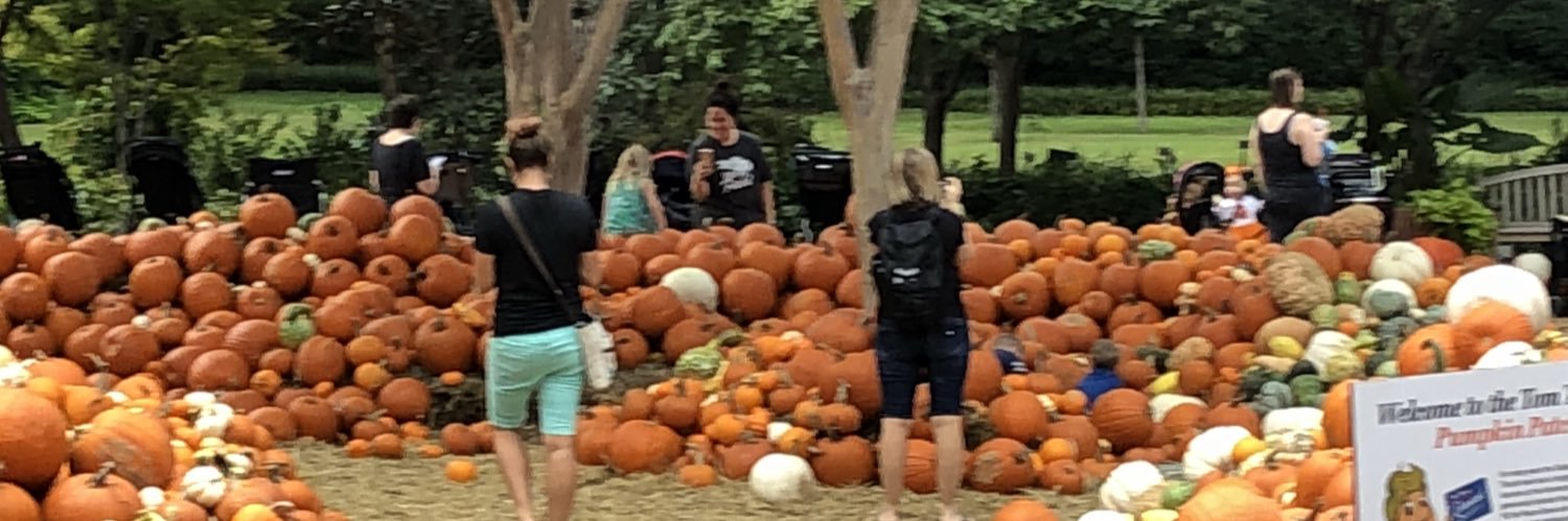 Colleen Isherwood banner