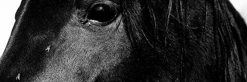 cbond2663's profile banner image
