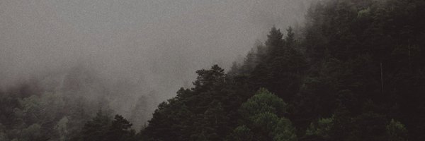 seechangesesh Profile Banner