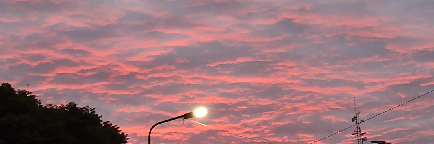 Natutu06's profile banner image