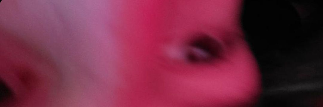 marquitoskus's profile banner image