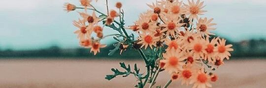 utyttiyu's profile banner image
