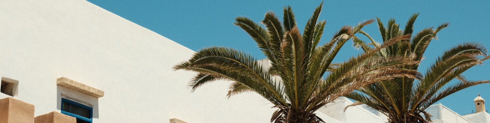 bprimeauxstyle's profile banner image