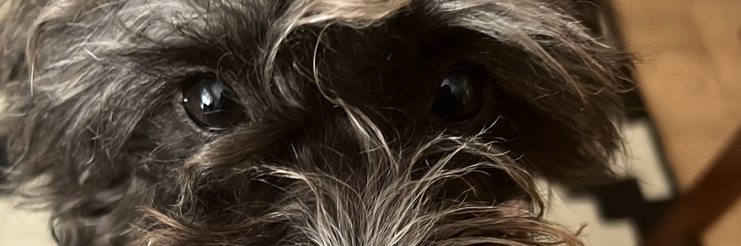 kittcat_'s profile banner image