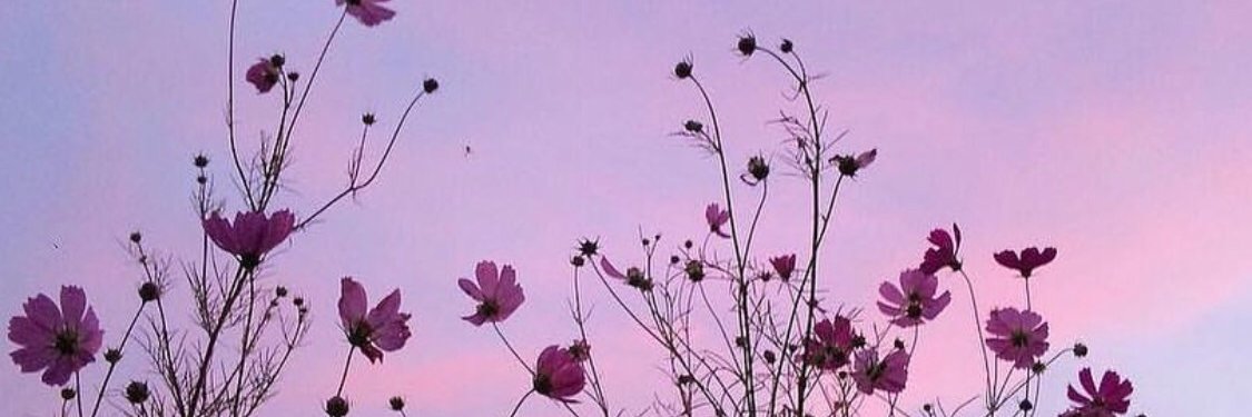 AraceliSabao's profile banner image