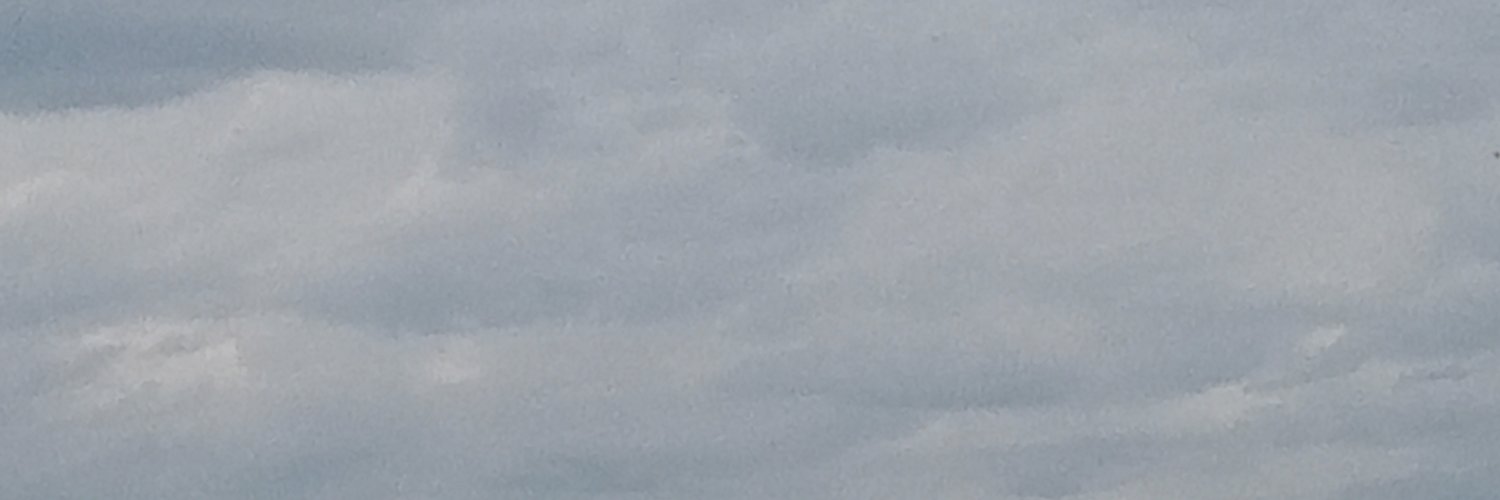 BarrazaPupa's profile banner image
