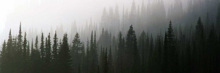 Chouk__'s profile banner image