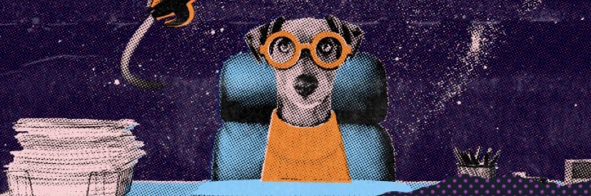 AlohaSom's profile banner image