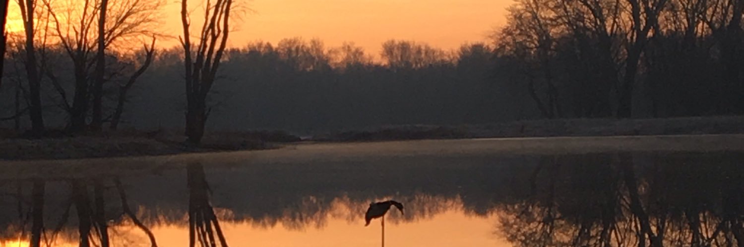 gohawk_11's profile banner image