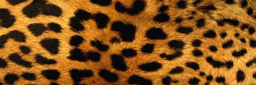 tonisparkles's profile banner image