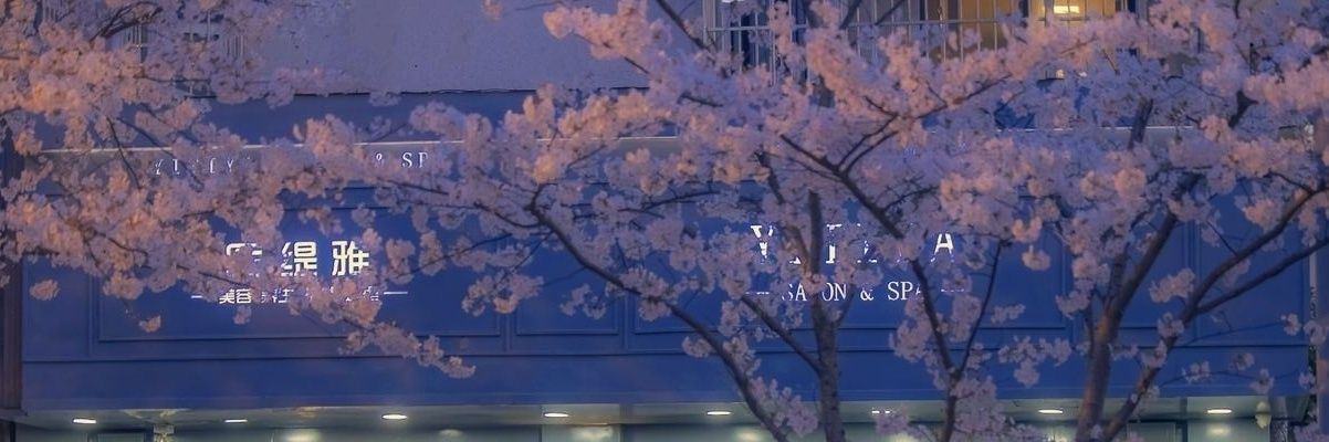 vallbir's profile banner image