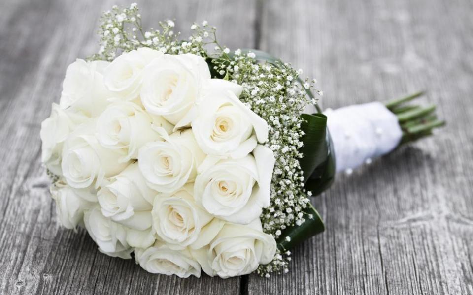 nalestha's profile banner image