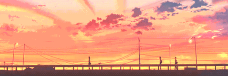 Softfoxo's profile banner image
