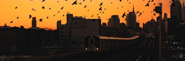 Raylivez1 Profile Banner