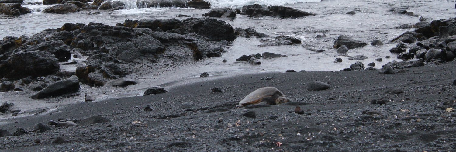 Todd.Witthauer banner