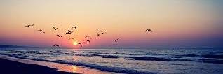 rebeca0123's profile banner image