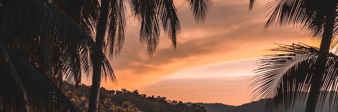 R_Dub411's profile banner image