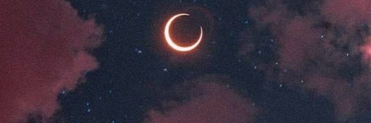 thewolfegirl's profile banner image
