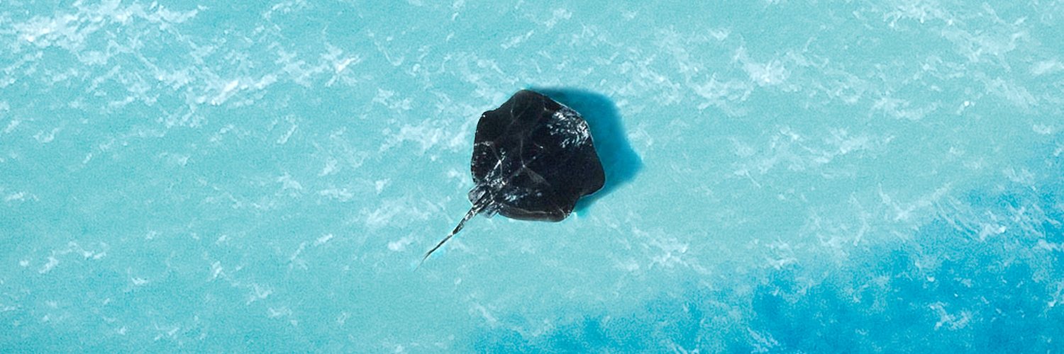 kennop91's profile banner image