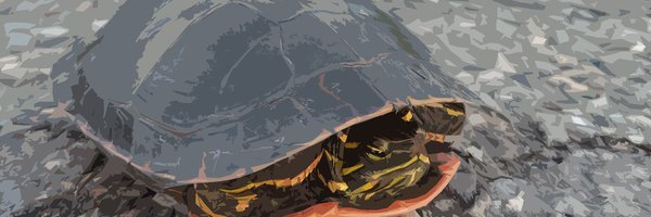 SnakedEth Profile Banner