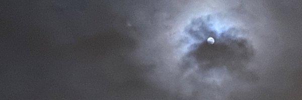 andrearoddel Profile Banner