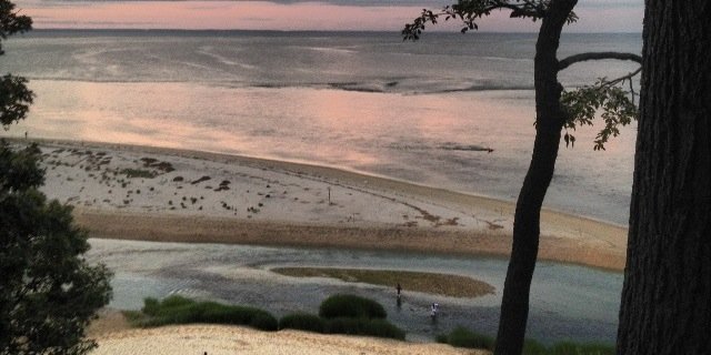 wildmannorton's profile banner image
