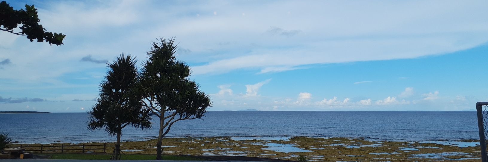 春野 嵐 A.Haruno banner