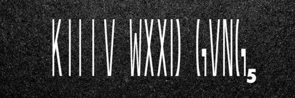 leosttu's profile banner image