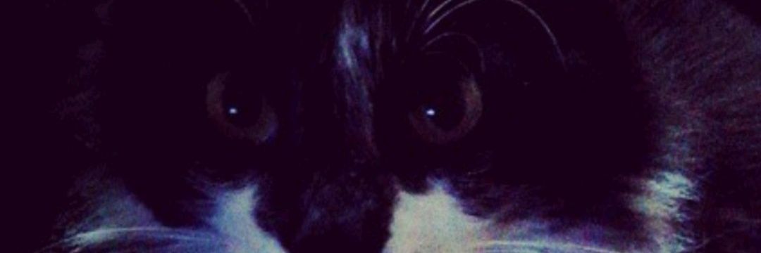 maca_165998's profile banner image