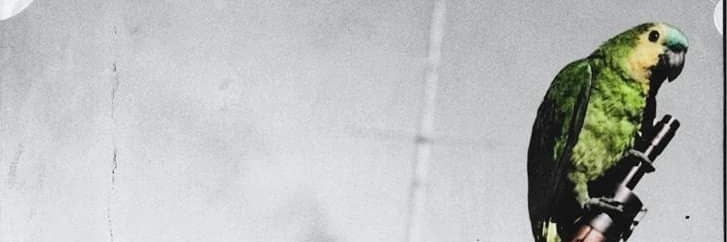 𝕰𝖉𝖉𝖎𝖊 🦜 banner