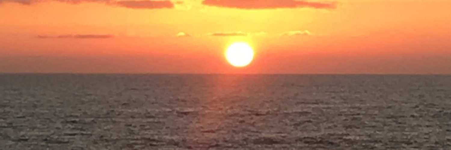 nelbrichi's profile banner image