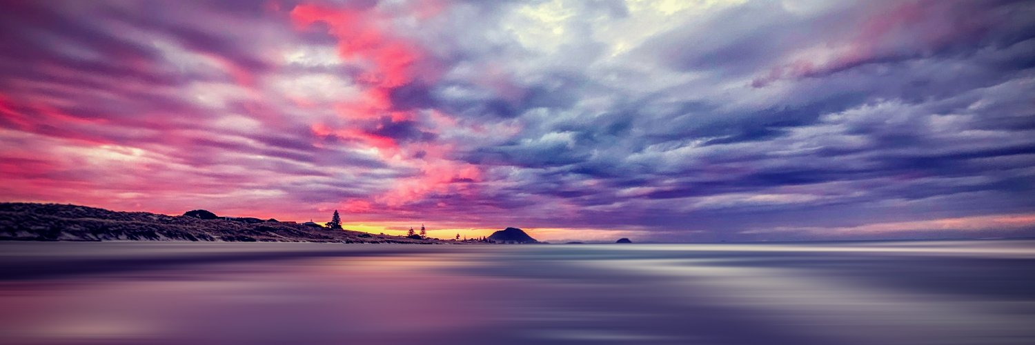 Lisa Phillips banner