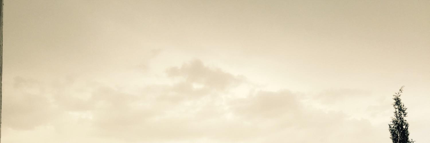 mam_df's profile banner image