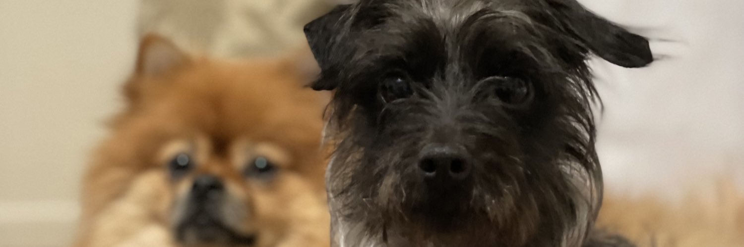 krizzy_bitch's profile banner image