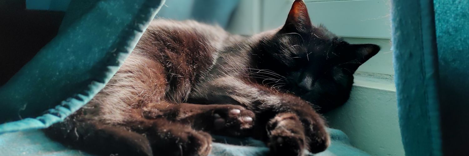 CuteSnake_'s profile banner image