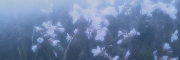 21ninpo Profile Banner