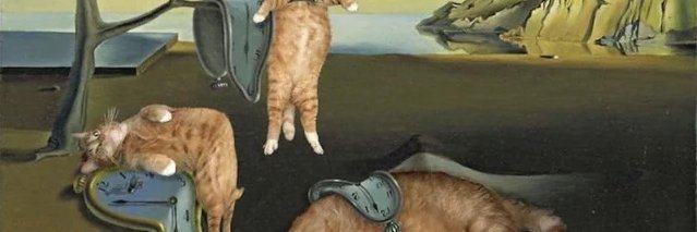 racascou's profile banner image