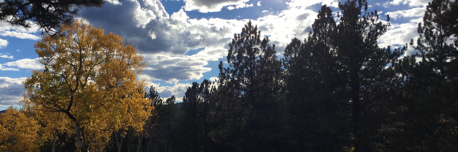 dawscd's profile banner image