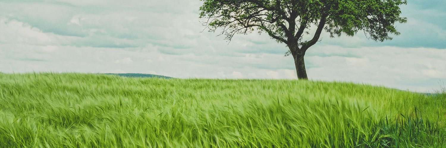 PreerayaT's profile banner image