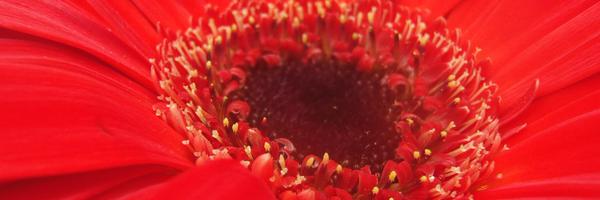 mishelly1986 Profile Banner