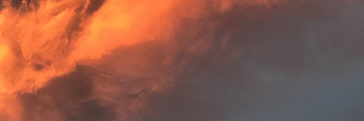LeftPoker's profile banner image